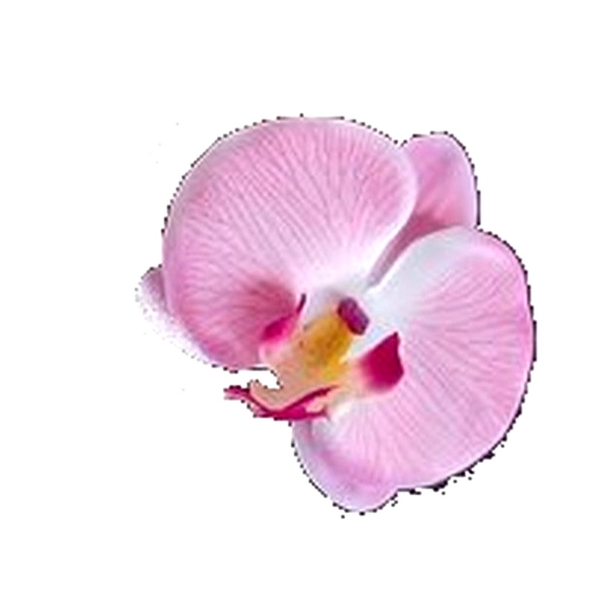 Pince Pic-chignon Epingle Cheveux Mariage Fleurs Orchidée
