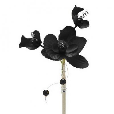 Decoration Mariage  - 4 Orchides et perles noires sur pique 25 cm : illustration