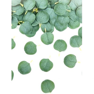 Mariage thme champtre  - 50 confettis de table feuilles d'eucalyptus vert : illustration