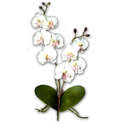 Mariage thme exotique tropical  - Decoration de mariage orchide artificielles haut ... : illustration