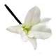 6 Pince Pic-chignon Epingle Cheveux Mariage Orchide ... : illustration