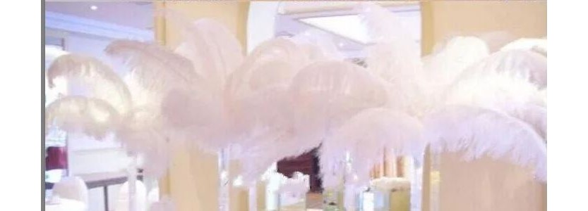 Plumes Dcoration Mariage