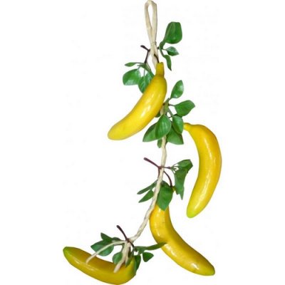ARCHIVES  - Tresse  suspendre bananes et feuillage exotique : illustration