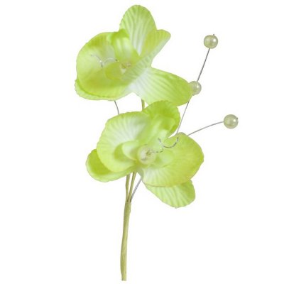 Dcoration de Table Mariage  - 3 Doubles Fleurs Orchides Royales Vert Anis  : illustration