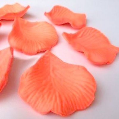 Sortie d'glise  - Ptales de Rose  Orange Mariage  (Lot de environ 200 ... : illustration