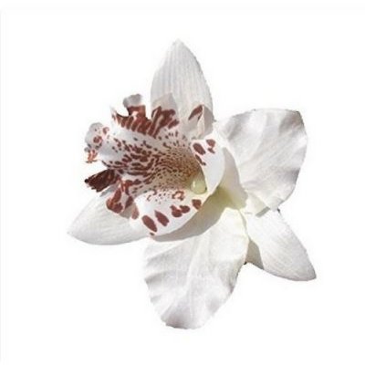 Mariage thme orchide  - Pince Cheveux Mariage Broche Boutonnire 