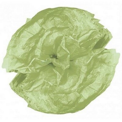 Dcoration Voiture Mariage  -  10 Pompons fleurs en papier de soie Vert Anis : illustration
