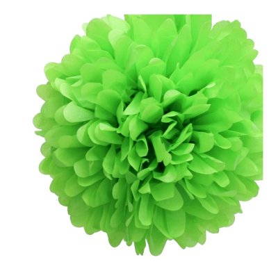 Decoration Mariage  - Pompon en papier vert anis 15 cm  : illustration