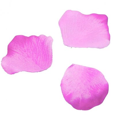 Dco de table Baptme  - Paquet de 100 ptales de rose Eco fuchsia dcoration ... : illustration