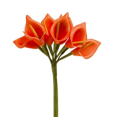Dcoration de Communion  - Fleur Mariage - 12 petites Arum sur tige - orange  : illustration