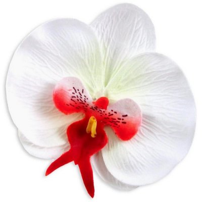 Accessoire de cheveux Mariage  - Tte Orchides mariage blanche et rouge - decoration ... : illustration