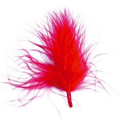 Mariage thme gypsy  - Plumes de Couleur Rouge Dcoration Mariage : illustration