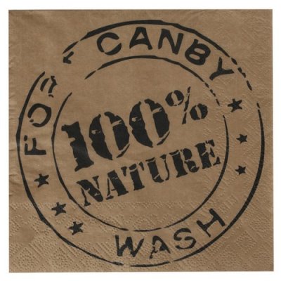 Vaisselle Jetable  - Serviettes en papier 100% nature : illustration