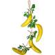 Tresse  suspendre bananes et feuillage exotique : illustration
