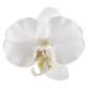 4 Orchides  blanche en tissu : illustration