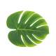 4 feuilles tropicales vertes 18 x 21 cm cm Dco mariage : illustration