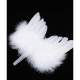 Ailes d'Ange Plumes Blanches Dcoration Plumes Mariage : illustration