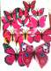 Papillons Magnet Multicolore 3D Rose Fushia x 12 : illustration