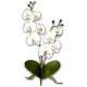 Decoration de mariage orchide artificielles haut ... : illustration