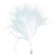 Plumes Blanche Dcoration Mariage  : illustration